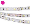 Pink 60/m RT 2-5000 12V Pink (3528, 300 LED, LUX)