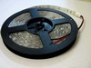 WW 60/m Led flexible strip CTL-3528-60leds/m-IP66-Warm White