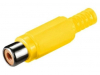 RP-406 YE (1-201YE)